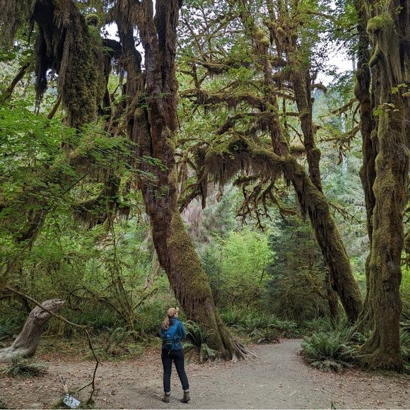 Meet your Posher, Rachel - Picture 4 of 6